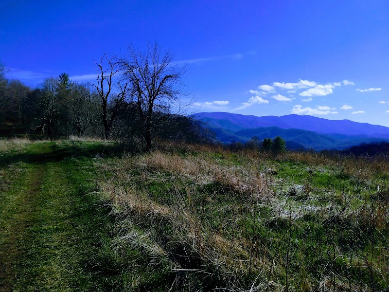 Appalachian Trail: Roan Balds (Round, Jane, Grassy Ridge)