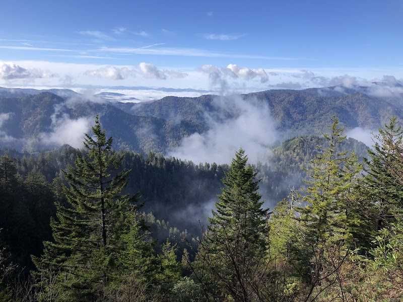 Alum Cave Trail to Mt. LeConte