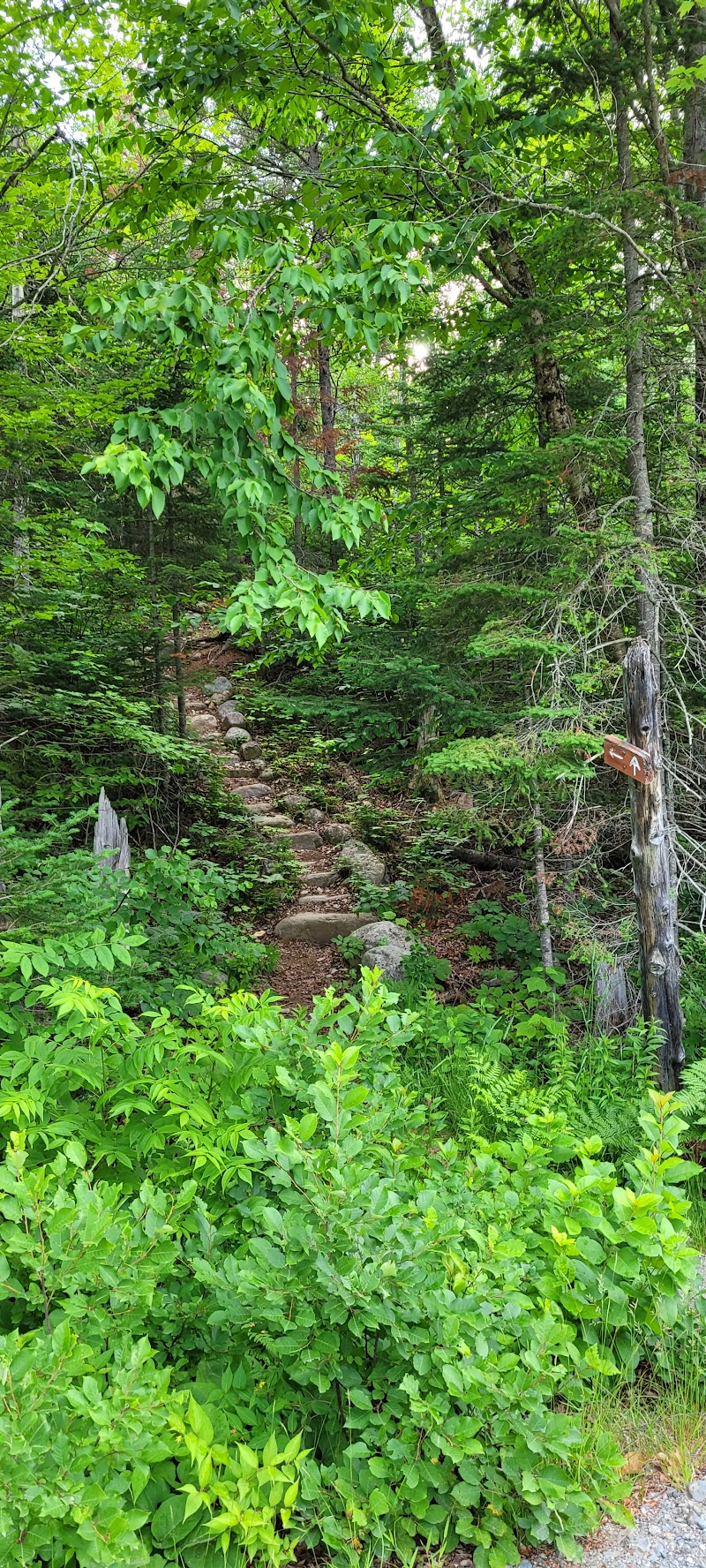 Appalachian Trail: Little Bigelow Mountain
