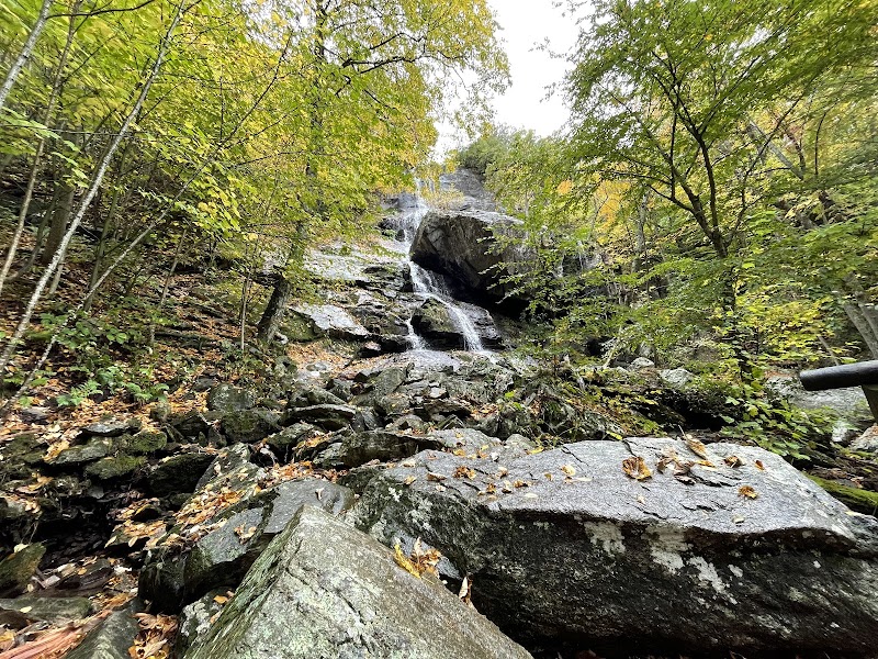 Appalachian Trail: Apple Orchard Falls Loop