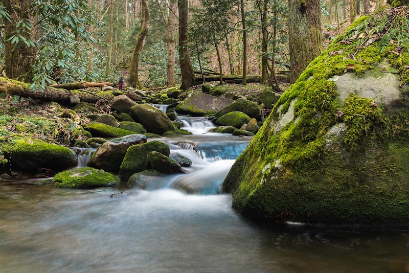 Appalachian Trail: Mount Cammerer