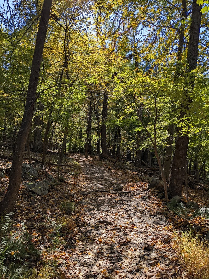 Blood Mountain via Appalachian Trail