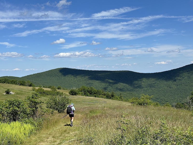 Appalachian Trail: Cole Mountain Bald