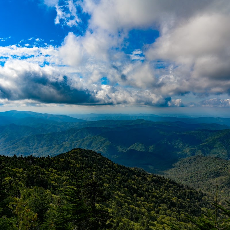 Appalachian Trail: Roan High Knob