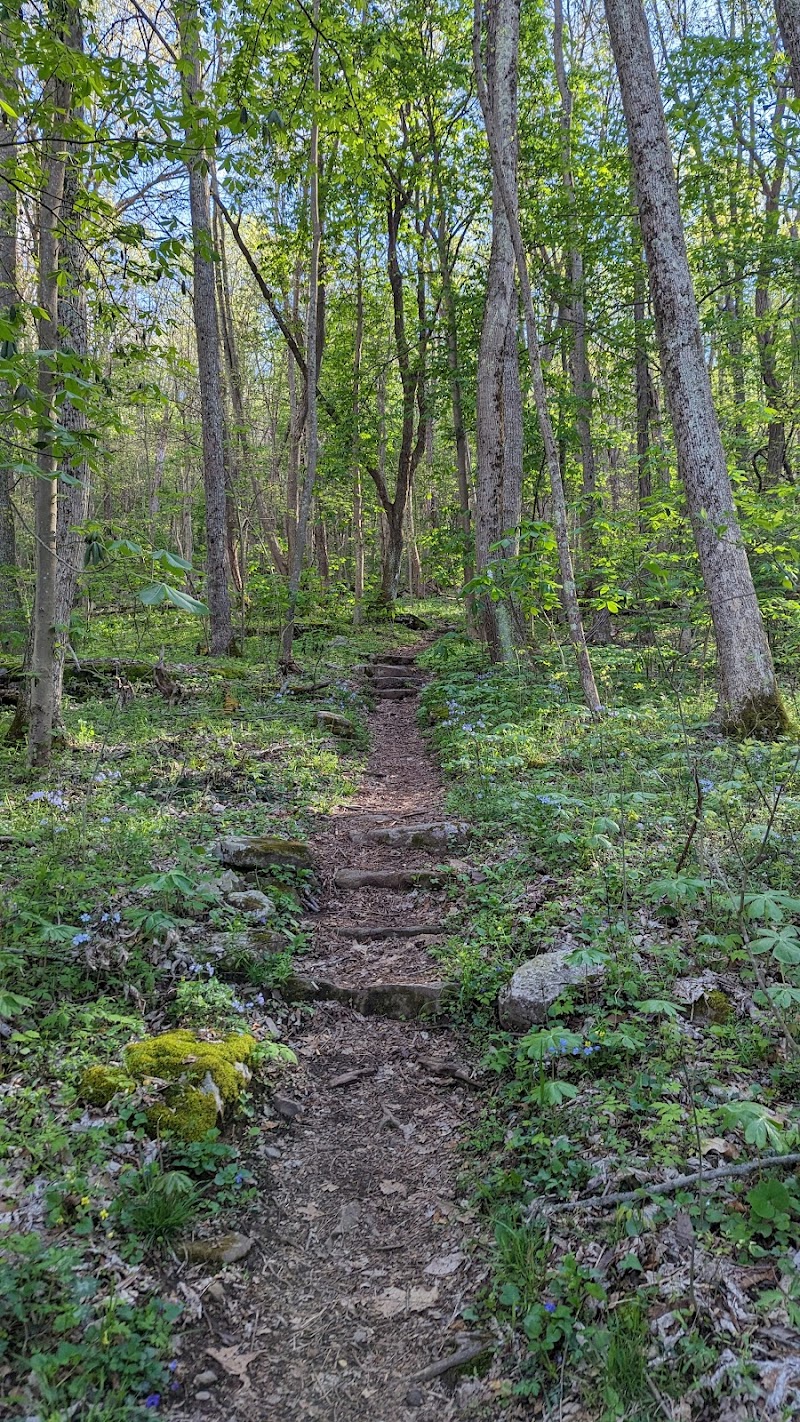 Appalachian Trail: Angels Rest