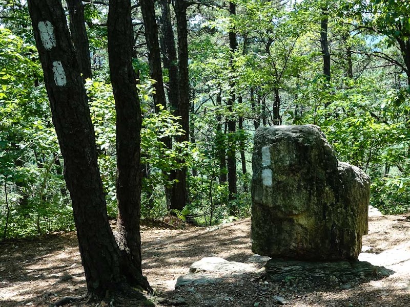 Appalachian Trail: Center Point Knob