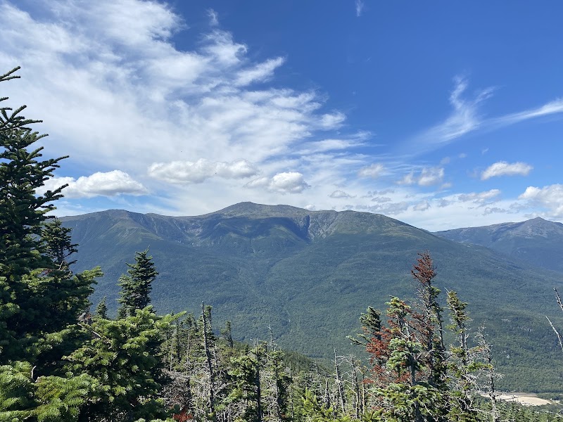 Appalachian Trail: Wildcat Ridge