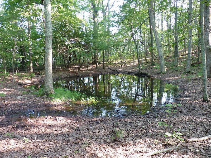 Appalachian Trail: Bearwallow Gap to Cove Mountain