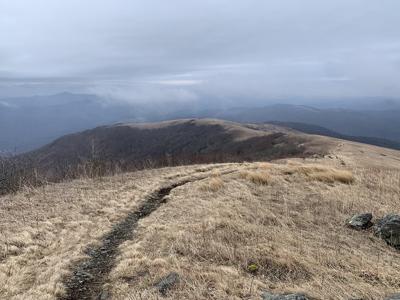 Appalachian Trail: Hump Mountain from Carvers Gap