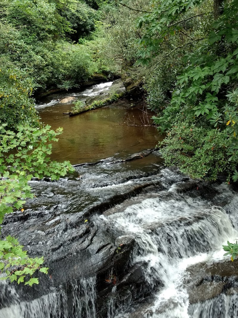Raven Cliff Falls Trail