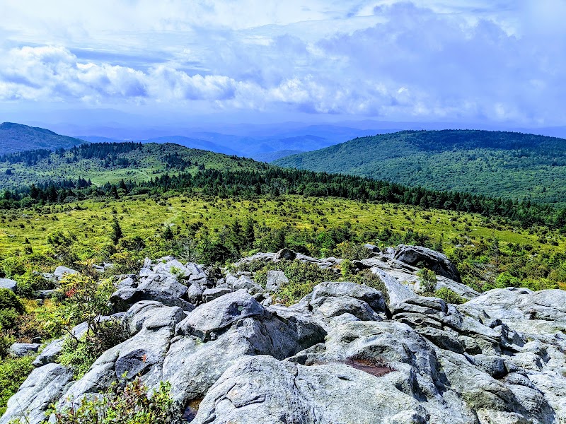 Appalachian Trail: Grayson Highlands Wild Ponies Loop