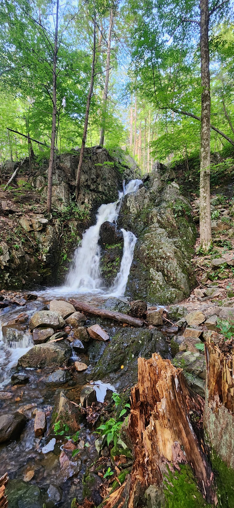 Appalachian Trail: Fitzgerald Falls and Mombasha High Point