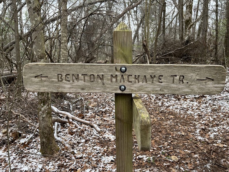 Appalachian Trail: Springer Mountain